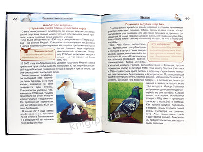 ЭНЦИКЛОПЕДИЯ. ХОЧУ ЗНАТЬ. ЗНАМЕНИТЫЕ ЖИВОТНЫЕ