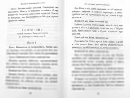 Господи, помилуй! Покаянные каноны