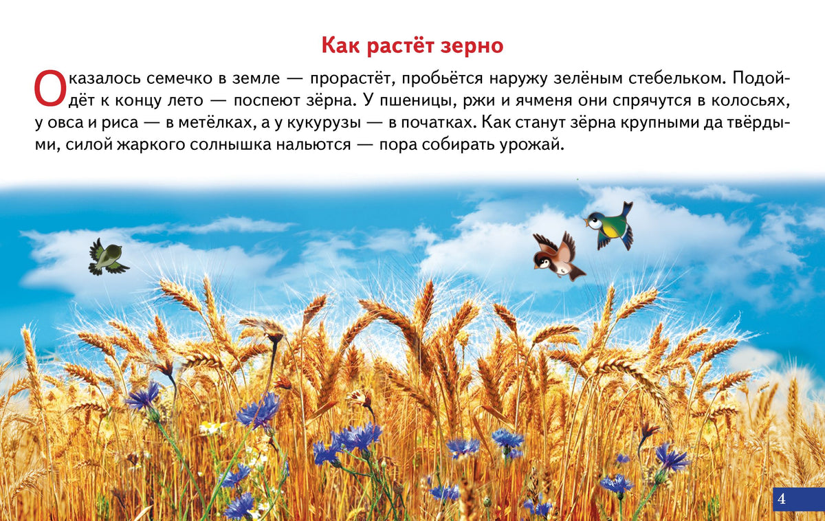Карточки. Как получается хлеб; Карточки. Как получается хлеб