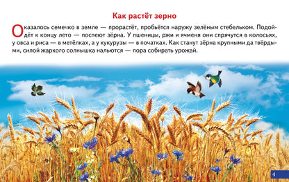 Карточки. Как получается хлеб; Карточки. Как получается хлеб