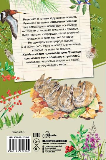 Кладовая солнца