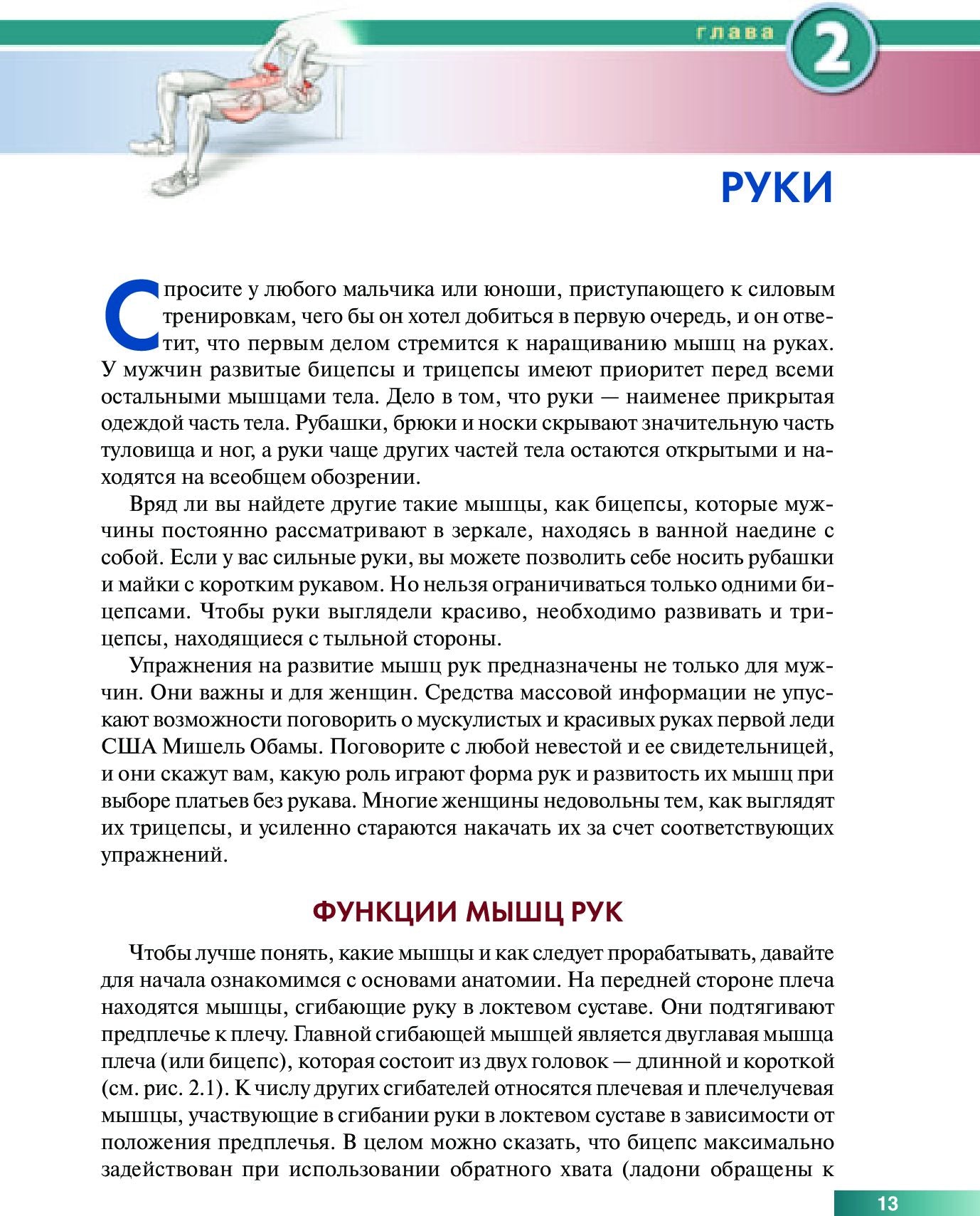 Caractéristiques de l'anatomie du corps avec utilisation dans le cadre de la gestion de votre entreprise