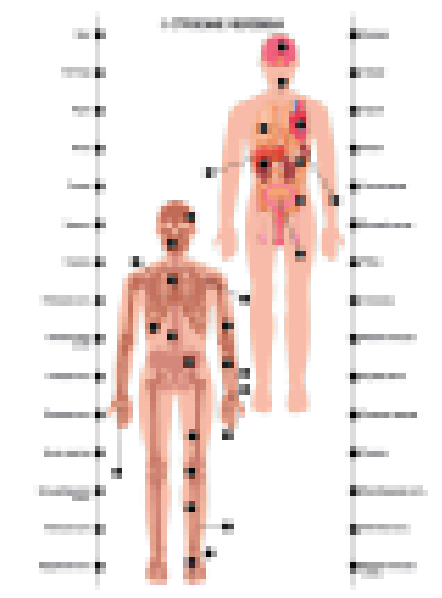 Игра настольная. Электровикторина "Размышляй-ка"