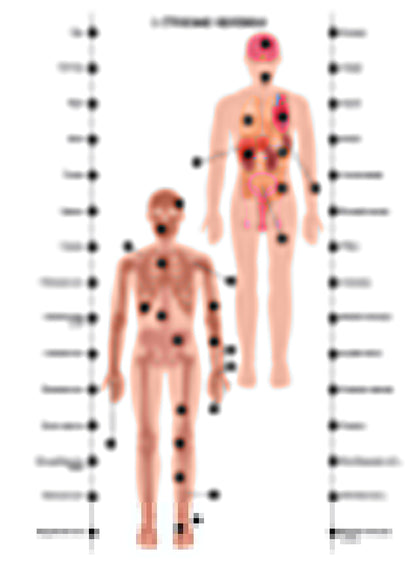 Игра настольная. Электровикторина "Размышляй-ка"