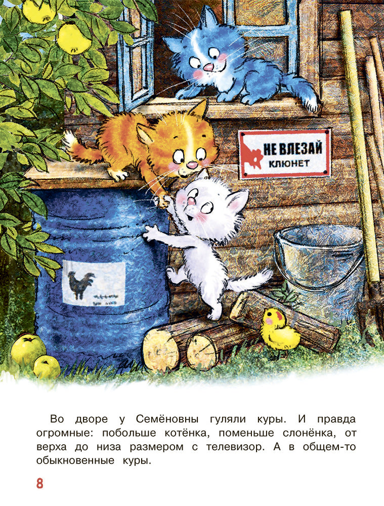Zenuk. Grands gonkis