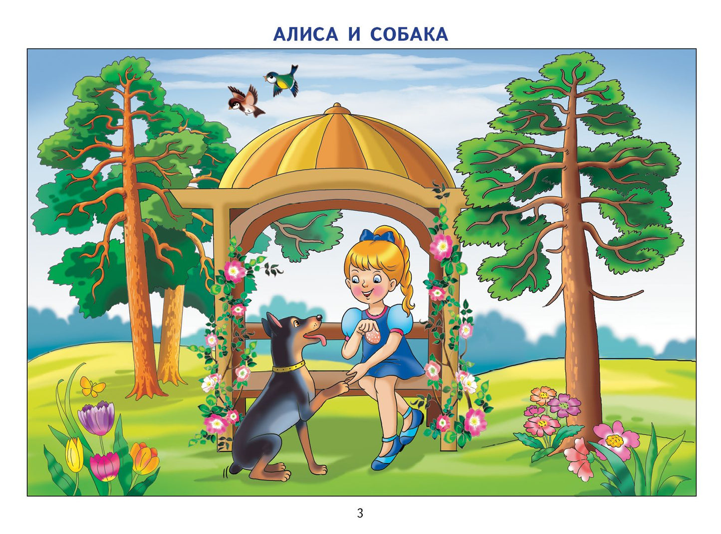 Фонетические рассказы с картинками. Свистящие звуки (для детей 5-7 лет) ; Фонетические рассказы с картинками. Свистящие звуки (для детей 5-7 лет)