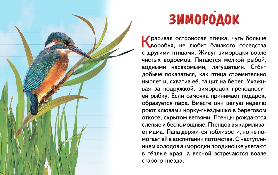 Cartes. Перелетные птицы России ; Cartes. Перелетные птицы России