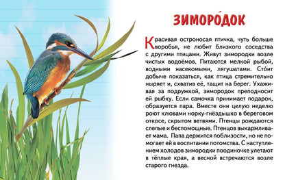 Cartes. Перелетные птицы России ; Cartes. Перелетные птицы России