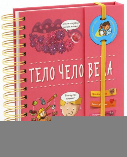 Тело человека