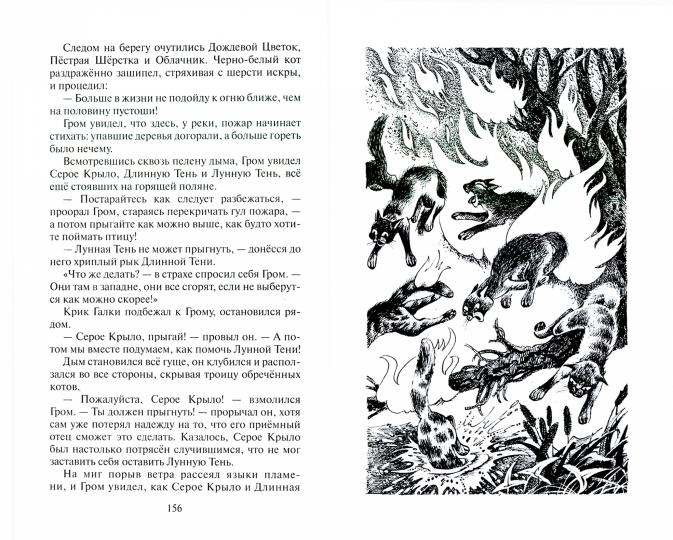 Коты-воители. Цикл "Начало племен". Юность Грома.