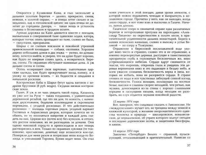 Бегущая строка. Дневник провинциального литературного критика