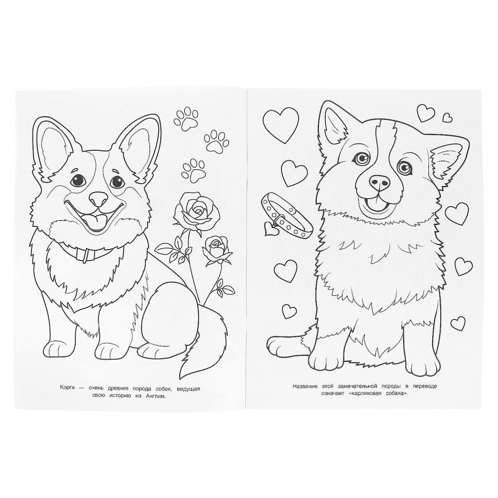 Les corgis et les dragons. Раскраска. 214х290 mm. Скрепка. 16 pièces. Умка в кор.50шт