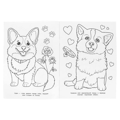 Les corgis et les dragons. Раскраска. 214х290 mm. Скрепка. 16 pièces. Умка в кор.50шт