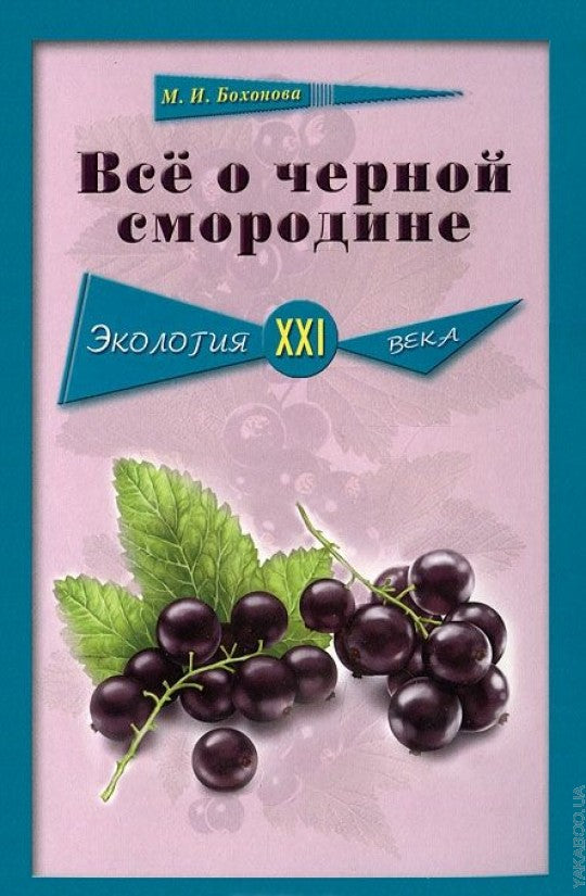Всё о чёрной смородине. Экология XXI века