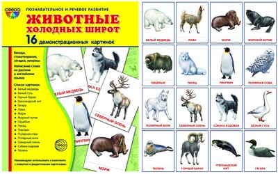 Démonstrateur. Cartes "Животные холодных" (173х220мм)