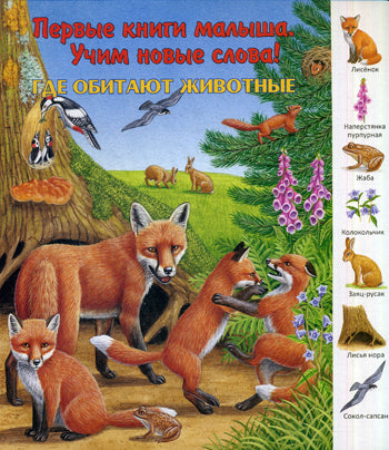 "Первые книги малыша. Учим новые слова!" Qu'est-ce qui se passe chez vous ?
