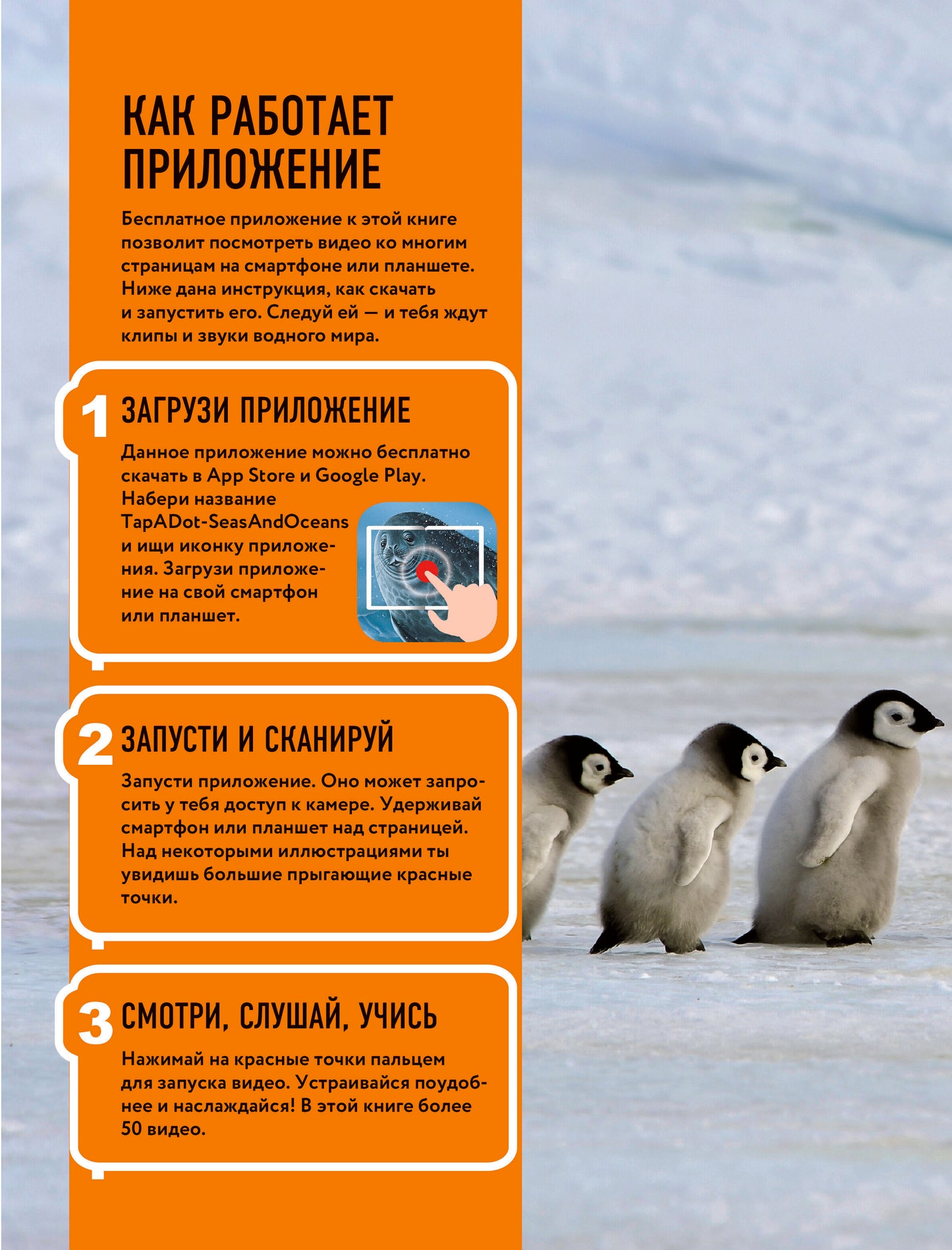 Океаны и моря. Виртуальная реальность