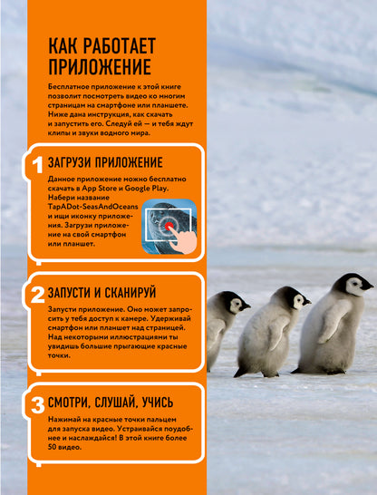 Океаны и моря. Виртуальная реальность