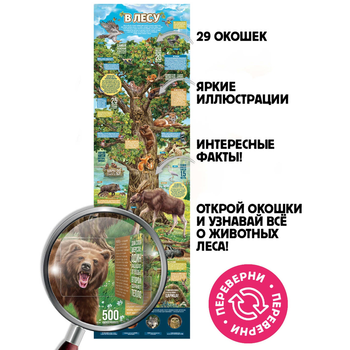 Malamalama. Плакат с окошками "Секреты леса" 29 окошек