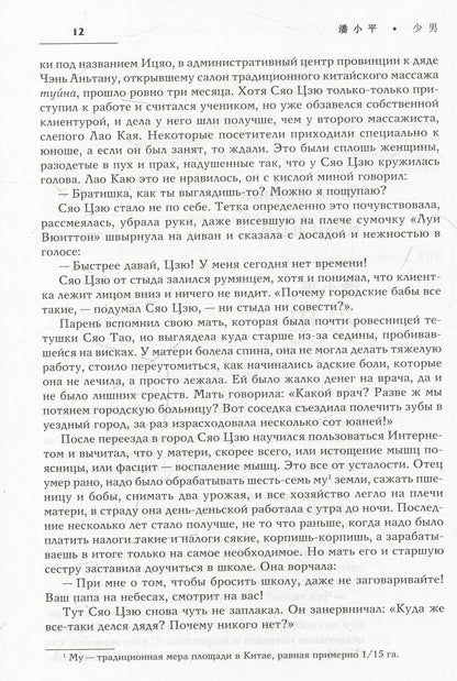 Двойной зрачок. Китайская проза ХХ - ХХI в.