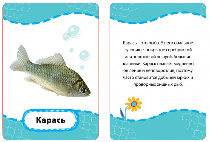 Qu'est-ce que c'est ? (Разв. карточки 3+)