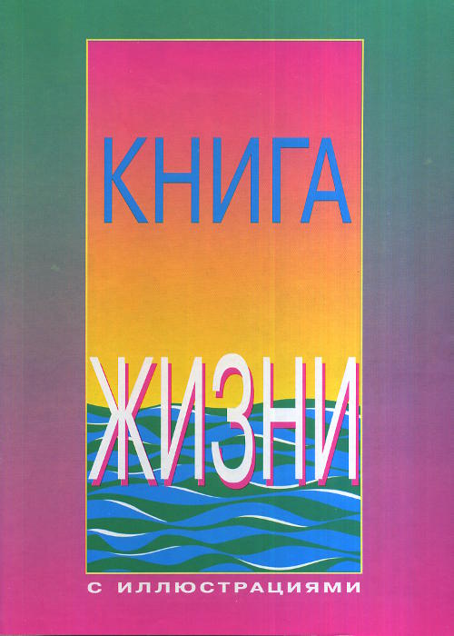 Книга жизни (с иллюстрациями). Международное издание для детей. ЖИЗНЬ ИИСУСА. Иллюстрации в виде КОМИКСов.
