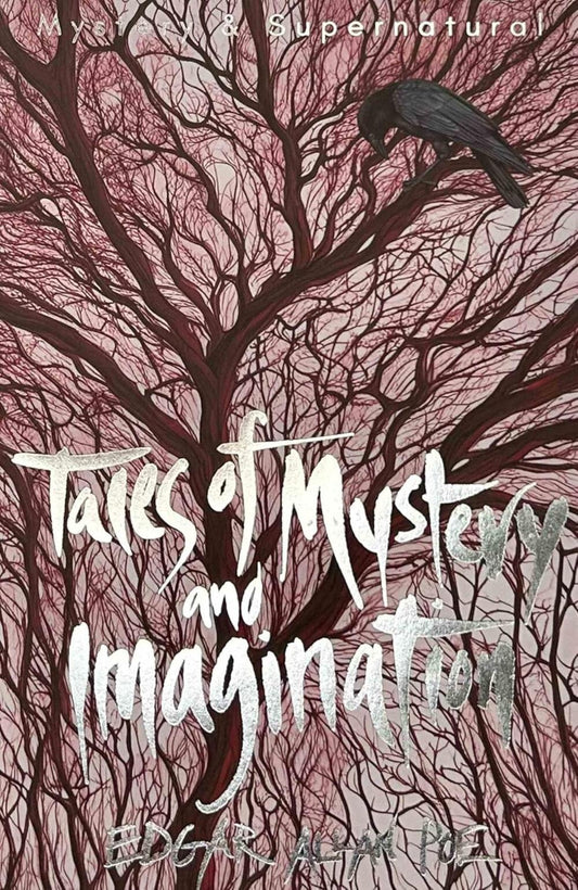 Contes de mystère et d'imagination Ned