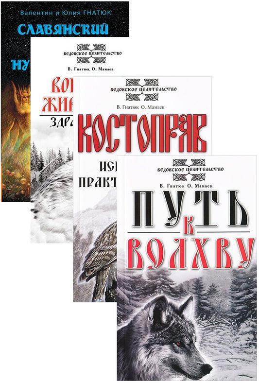 Гнатюк В. и Мамаев О. о волхвах и ведах (комплект из 4 книг)