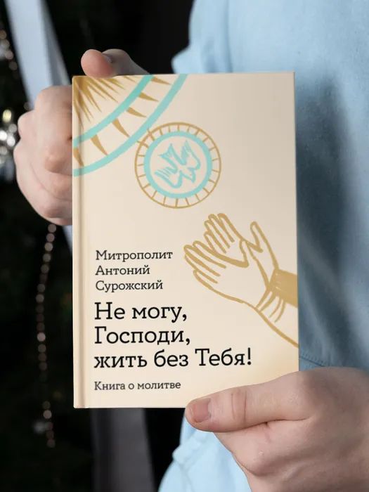 Не могу, Господи, жить без Тебя! Книга о молитве