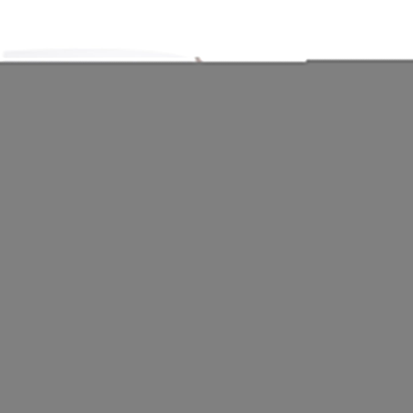 Avant-propos de Dimitry Prily: житие и служба