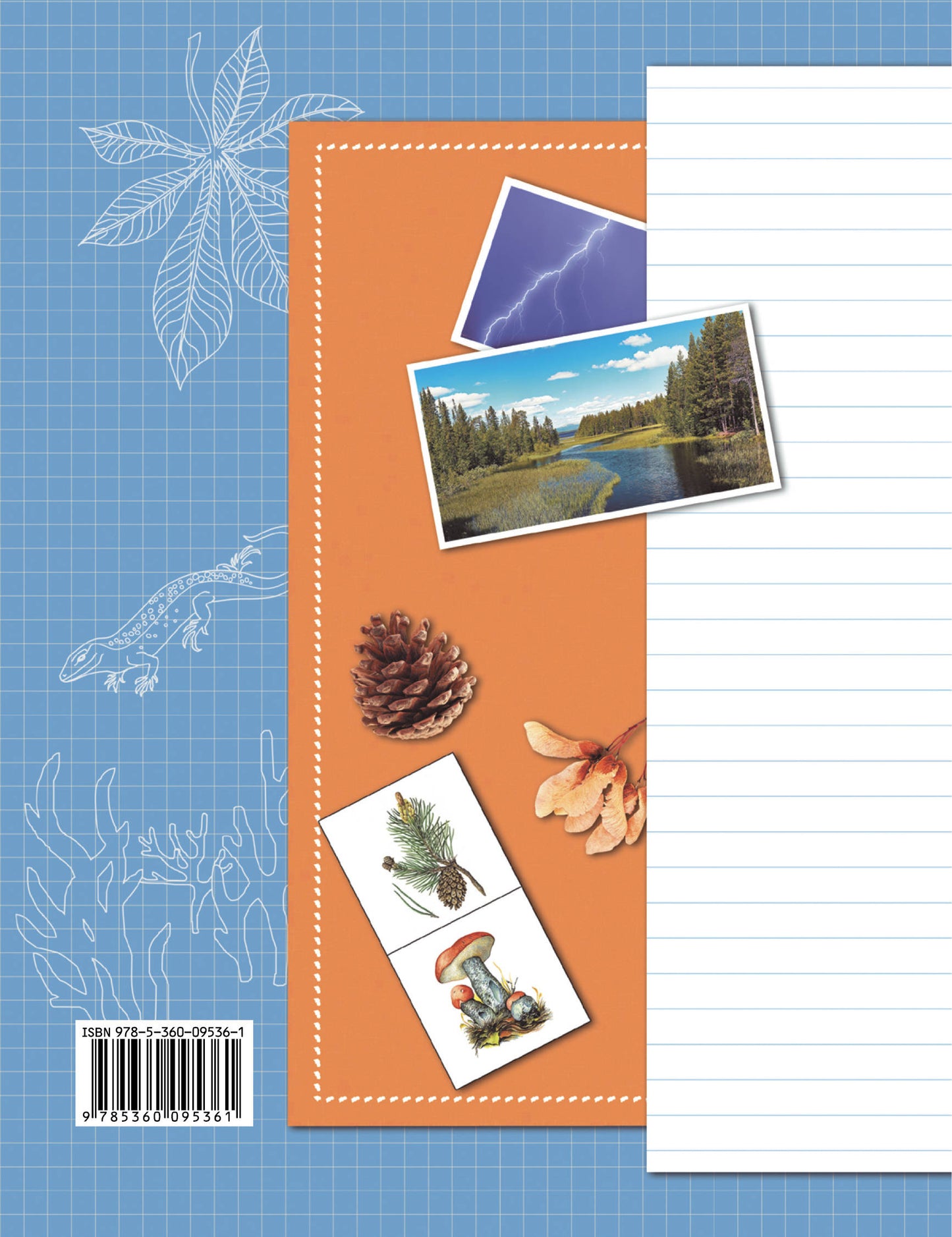 Окружающий мир. 3 класс. Тетрадь для проверочных работ №1