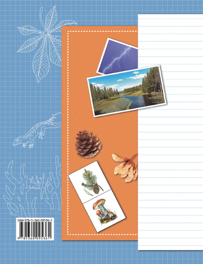 Окружающий мир. 3 класс. Тетрадь для проверочных работ №1