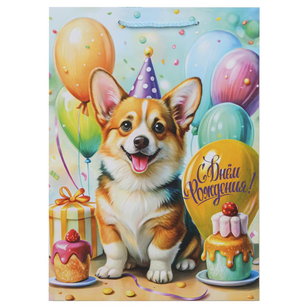 Paquet de nourriture pour animaux de compagnie Paquet de nourriture pour chiens, chats de corgi pour chien de compagnie, en cor.10*12