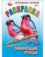 Раскраска: Зимующие птицы