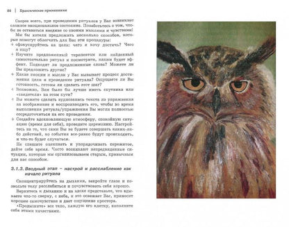 Ритуалы и духовность в психотерапии /пер.с нем.