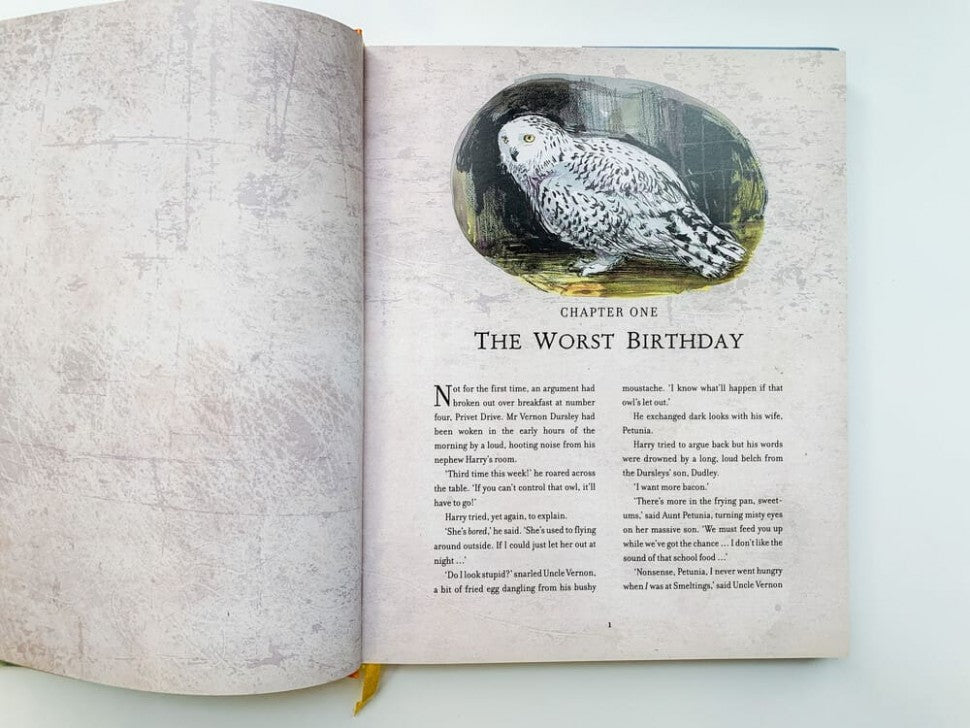 Harry Potter and the Chamber of Secrets Illustrated Edition (J.K. Rowling) Гарри Поттер и Тайная комната Илл. издание/ Книги на английском языке