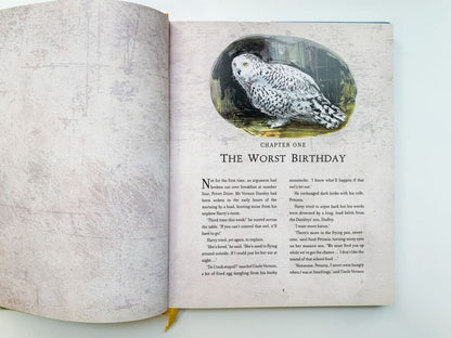 Harry Potter and the Chamber of Secrets Illustrated Edition (J.K. Rowling) Гарри Поттер и Тайная комната Илл. издание/ Книги на английском языке