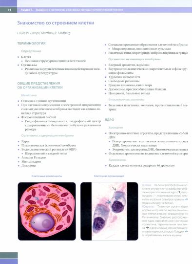 Гистология для патологоанатомов***
