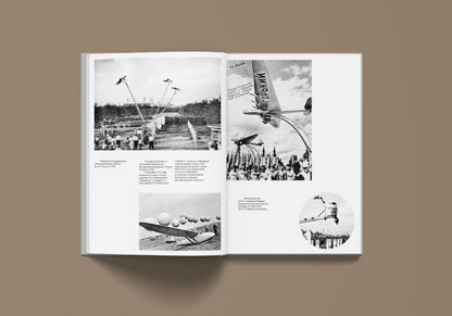 Левинг Ю. Поэзия в мертвой петле (Мандельштам и авиация)/ Дизайн Б. В. Трофимова