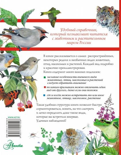 Les grands chefs d'entreprise, les plus récents, les plus expérimentés et les plus expérimentés de la Russie