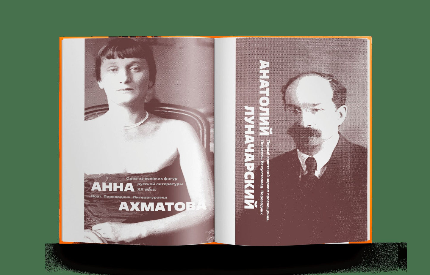 Твое Величество — Политехнический: Большие люди Большой аудитории (р1)