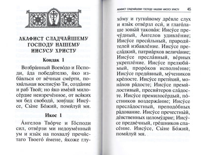 Акафисты, читаемые в болезнях, скорбях и особых нуждах