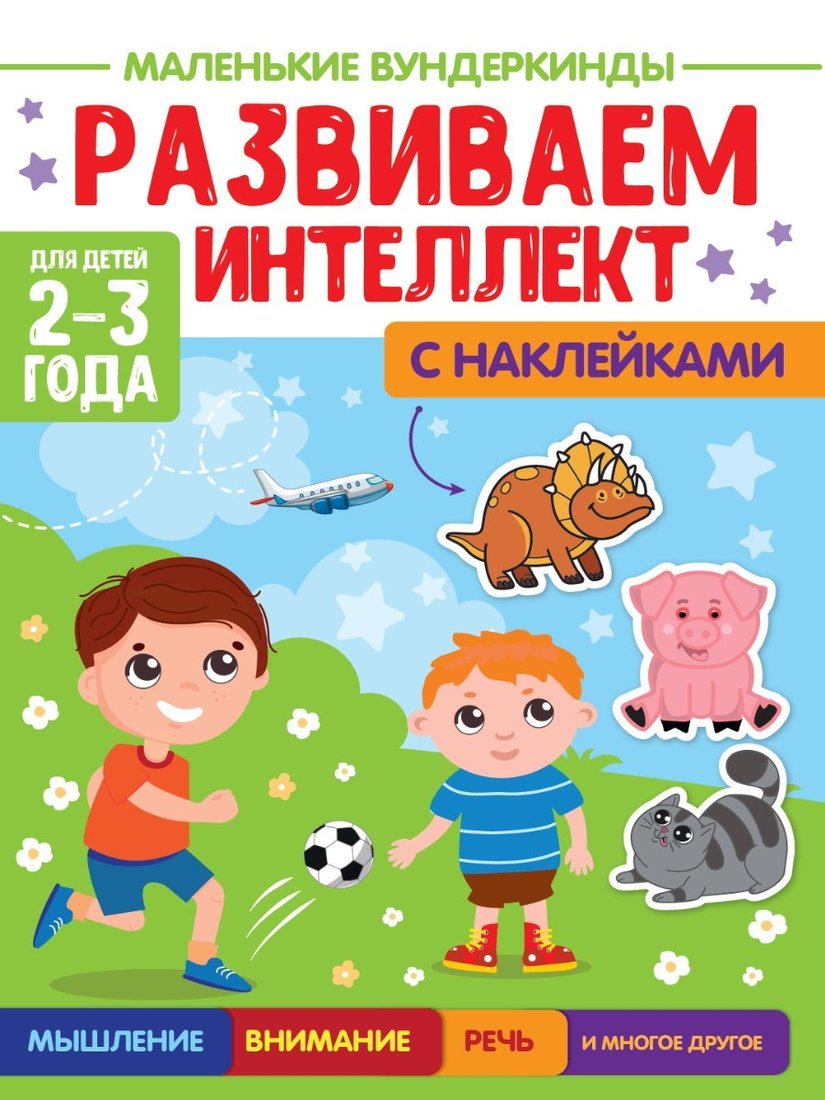 МАЛЕНЬКИЕ ВУНДЕРКИНДЫ. РАЗВИВАЕМ ИНТЕЛЛЕКТ 2-3 années