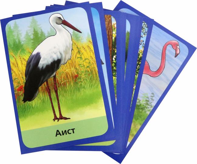 Cartes. Птицы (Интересные факты о каждой птице)