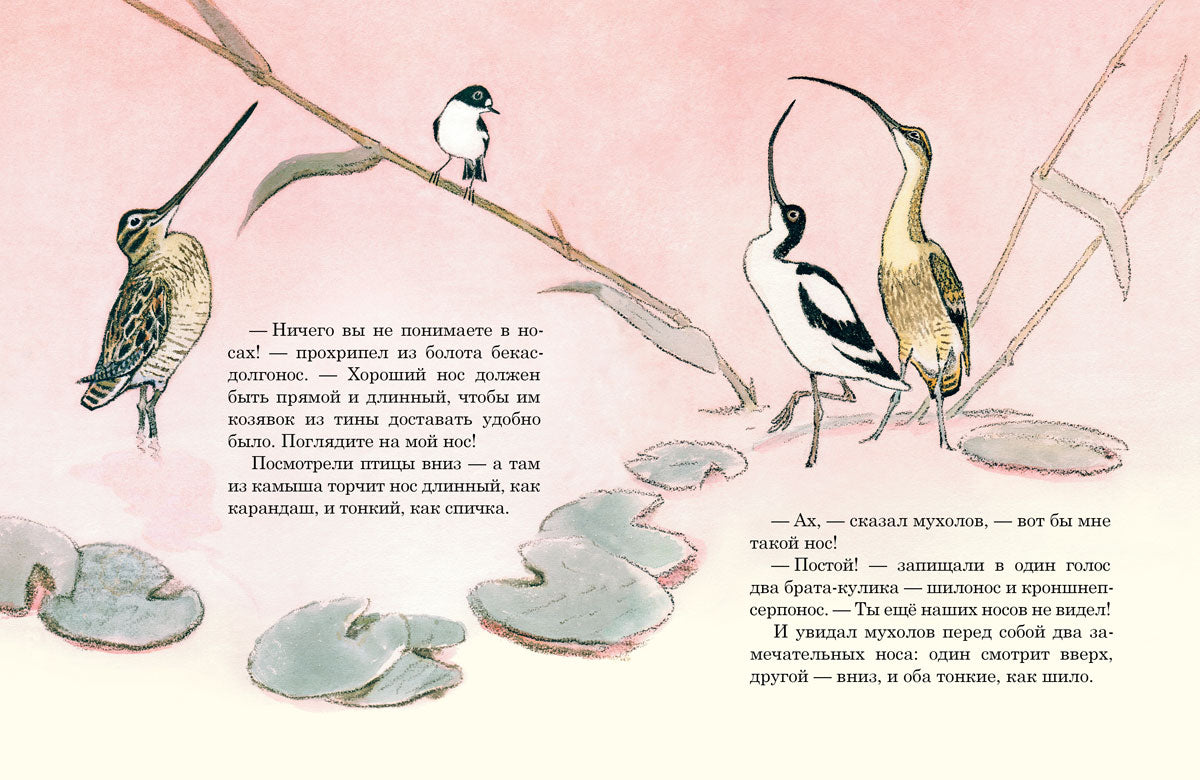 Чей нос лучше?: сказка. Бианки В.