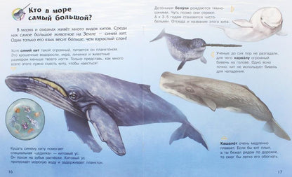 Енциклопедія дошкільника (нова): Океаны и моря (р)