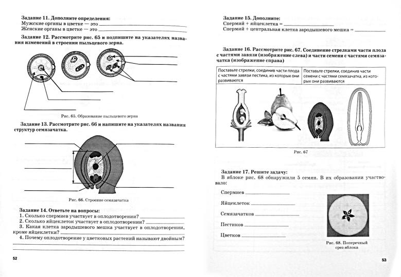 Биология 7кл Растения. Бактерии.Грибы [Раб. тетр.]