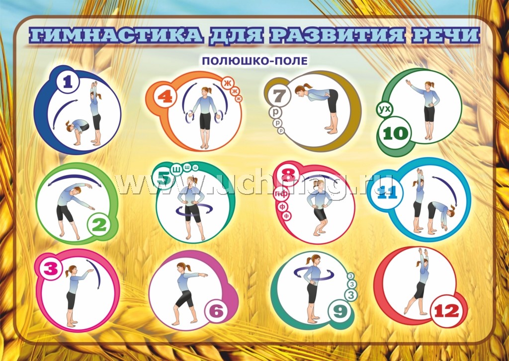 Комплект плакатов "Утренняя гимнастика для детей". 4 плаката с методическим сопровождением. (Формат А2, картон макулатурный, пл. 340)