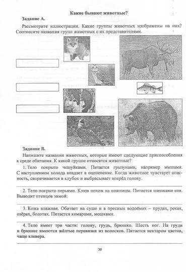 Окружающий мир. 1-4 классы. Разноуровневые задания к урокам. Подготовка к ВПР. 119 стр. (Формат А4)