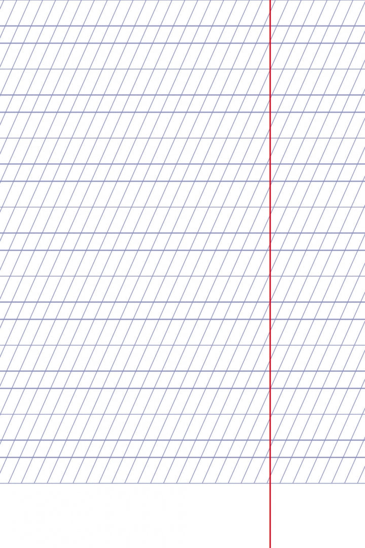 Тетрадь 12 листов, две линии с частыми наклонными с дополнительными горизонтальными